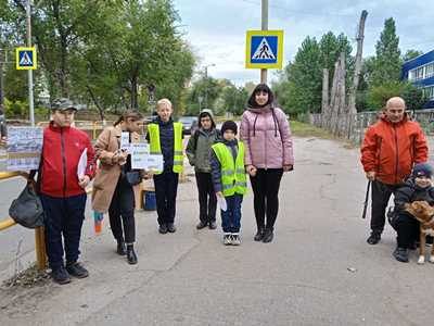 Безопасность дорожного движения