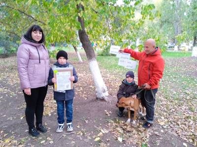 Безопасность дорожного движения